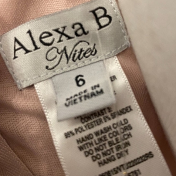 NWT Alexa B Nites Full Length Sequined Lace Dress in Blush Pink - Picture 4 of 9